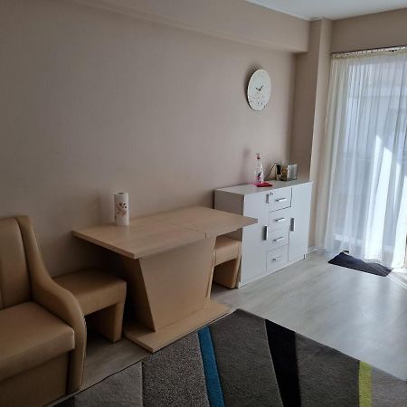Apartament Mon Jardin - Iasiアパートメント エクステリア 写真