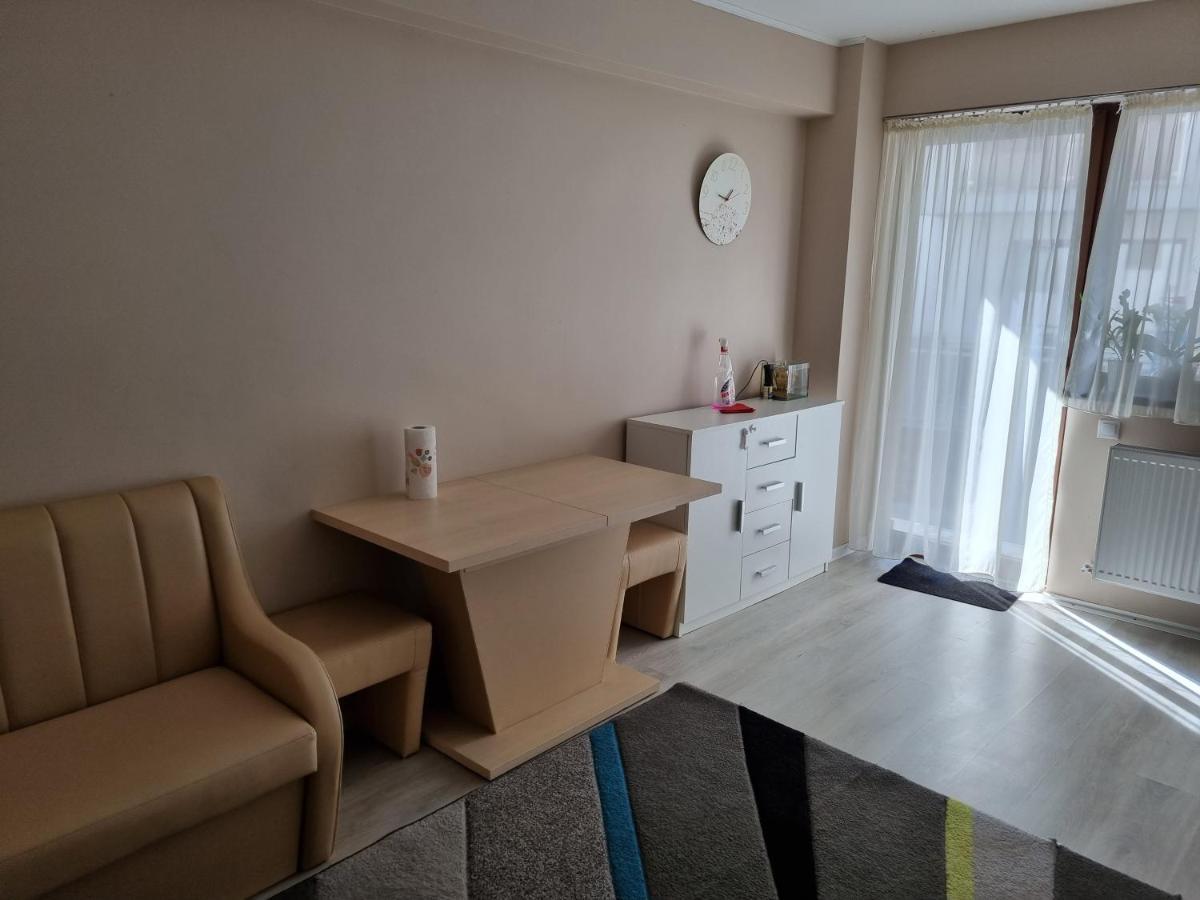 Apartament Mon Jardin - Iasiアパートメント エクステリア 写真